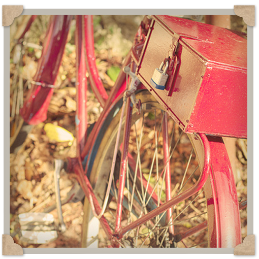 Vintage Dream Febrero