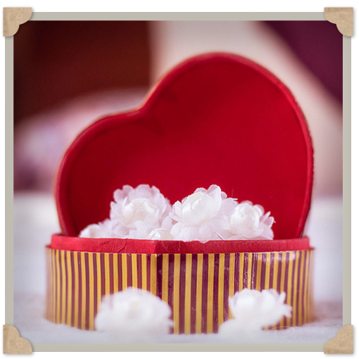 Vintage Dream Febrero