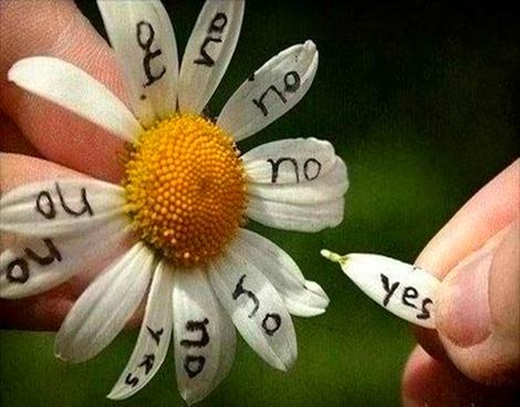 ¿Le gusto o no le gusto?