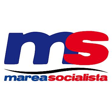 ¡Activar al pueblo bolivariano! No hay que dejar quieto al que se tiene que mover Declaración de Marea Socialista sobre la situación nacional.