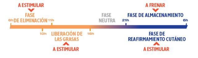 Turboslim CronoActive vs Turboslim Doble Acción