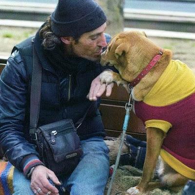 OS SUPLICO 1€..Este caso me ha partido el alma. Manu y sus perris en la calle..PRECIOSO!! (Barcelona)