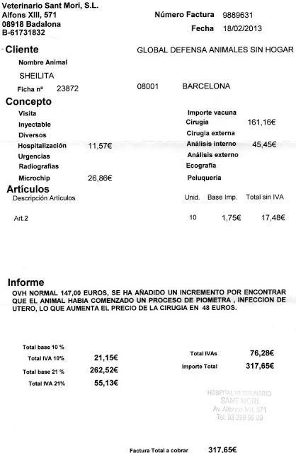 OS SUPLICO 1€..Este caso me ha partido el alma. Manu y sus perris en la calle..PRECIOSO!! (Barcelona)