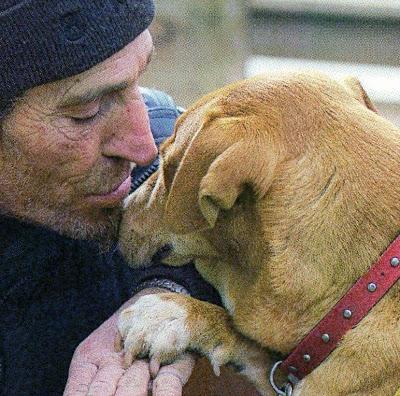 OS SUPLICO 1€..Este caso me ha partido el alma. Manu y sus perris en la calle..PRECIOSO!! (Barcelona)