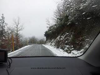 223.- Un finde por Asturias: Gijón y Muniellos (II)