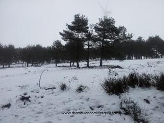 223.- Un finde por Asturias: Gijón y Muniellos (II)