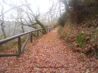 223.- Un finde por Asturias: Gijón y Muniellos (II)
