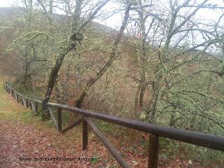 223.- Un finde por Asturias: Gijón y Muniellos (II)