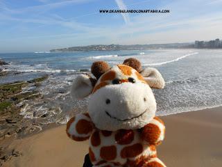 222.- Un finde por Asturias. Gijón y Muniellos (I) 222.- Un finde por Asturias. Gijón y Muniellos (I)