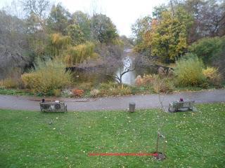 218.- Londres en 3 días (I)