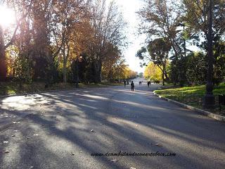 215.- Madrid en un fin de semana