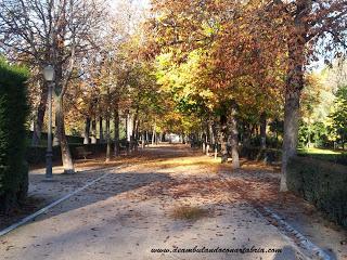 215.- Madrid en un fin de semana
