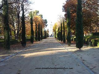215.- Madrid en un fin de semana