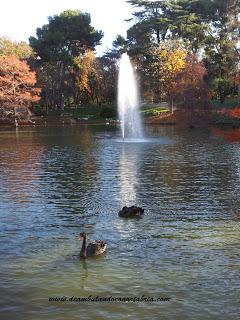 215.- Madrid en un fin de semana