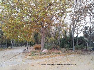 215.- Madrid en un fin de semana