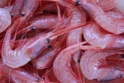 Chipirones Chipirones