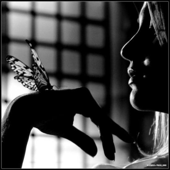 Comprensión y consciencia