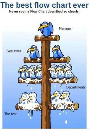 top_management_and_bottom_management