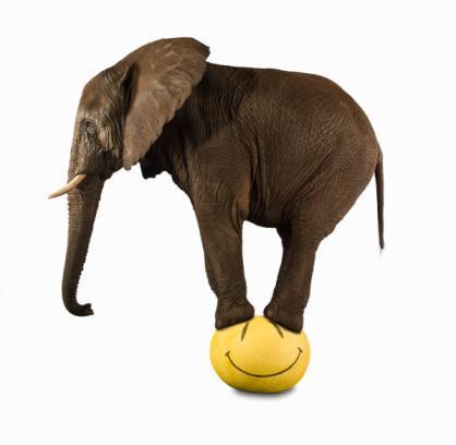 Elefante arriba de la pelota