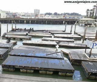 Pier39, San Francisco, www.amigoviajero.com