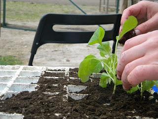 Semana Santa en la huerta!