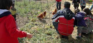 Semana Santa en la huerta!
