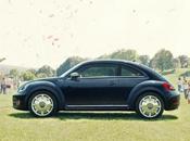 Wolkswagen fender edition