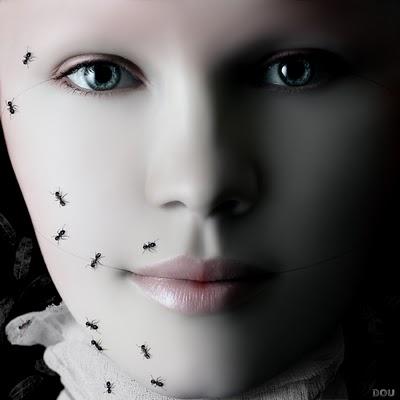 6 de Marzo - Olegario