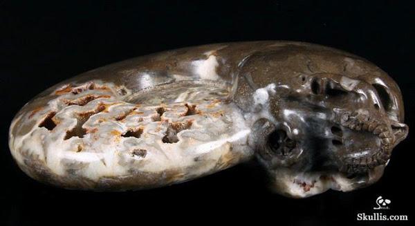Ammonite Carved Crystal Skull
