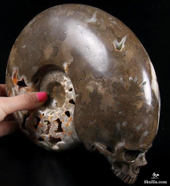 Ammonite Carved Crystal Skull