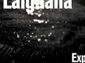 Jaume laiguana palau robert