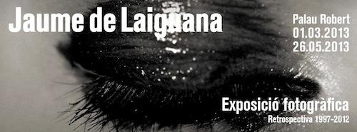 JAUME DE LAIGUANA EN EL PALAU ROBERT