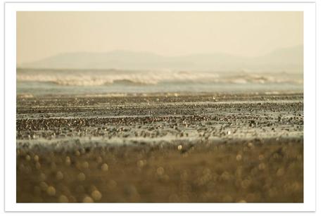 Image Hosted by ImageShack.us