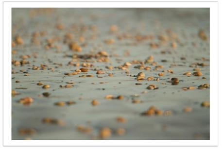 Image Hosted by ImageShack.us