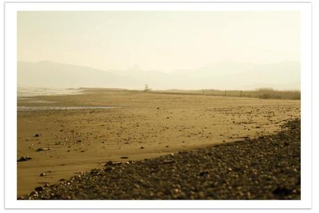 Image Hosted by ImageShack.us