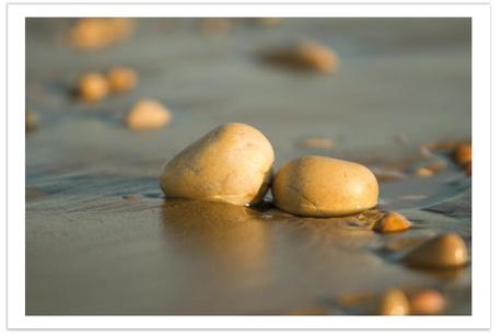 Image Hosted by ImageShack.us