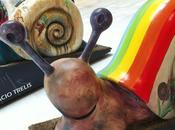 CaraKollection (1).
