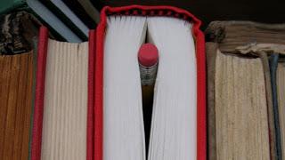 El Boom de la literatura erótica El Boom de la literatura erótica