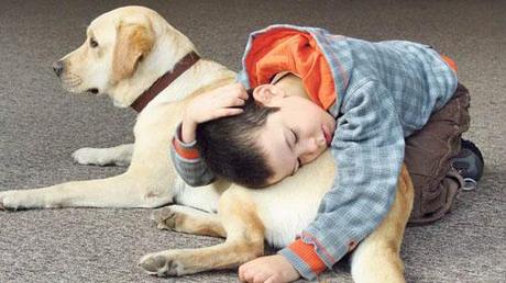 Autismo: mascotas y juguetes para el desarrollo de habilidades sociales