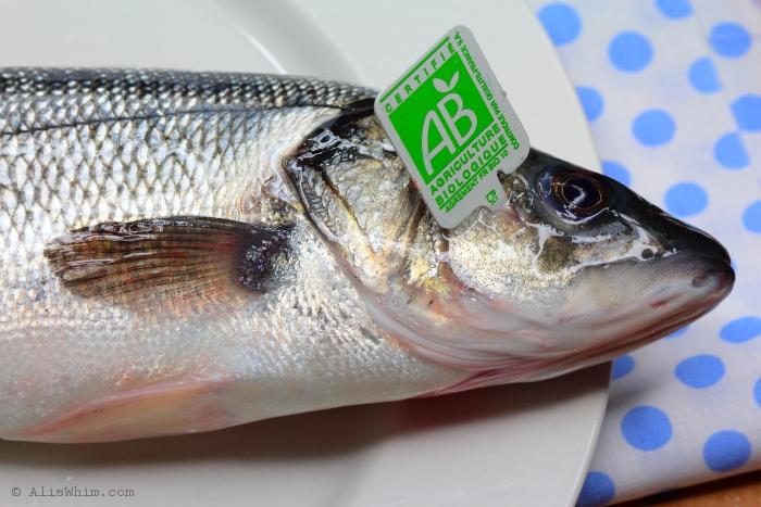 Dicentrarchus labrax