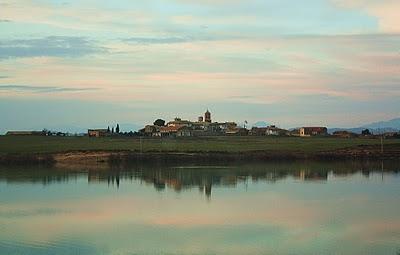 Grullas y tapas en Montmesa! (Huesca)