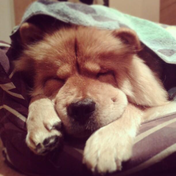 Mi Semana en Imágenes