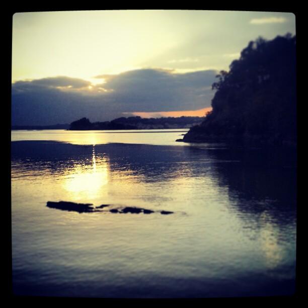 Mi Semana en Imágenes