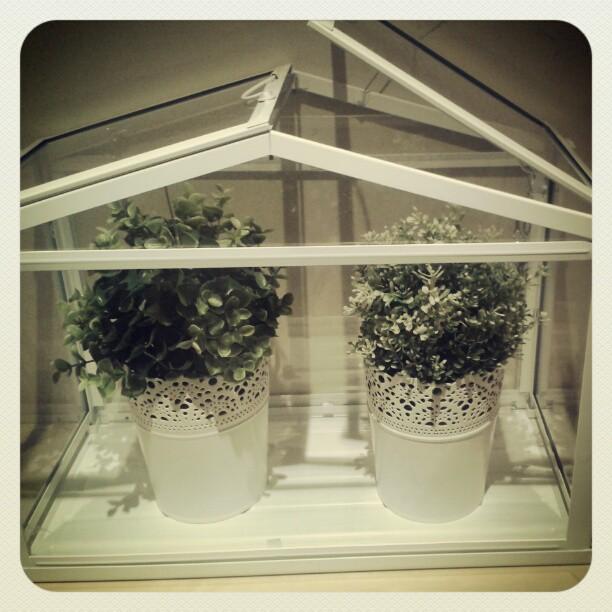 Mi Semana en Imágenes