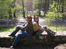 Brownie con graneras de cuétara Editado