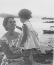 Brownie con graneras de cuétara Editado