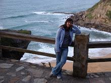 Brownie con graneras de cuétara Editado