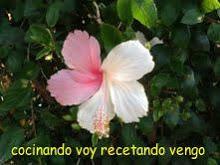 Brownie con graneras de cuétara Editado