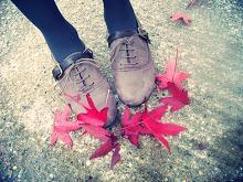 Brownie con graneras de cuétara Editado