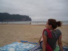 Brownie con graneras de cuétara Editado